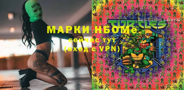 дживик Баксан