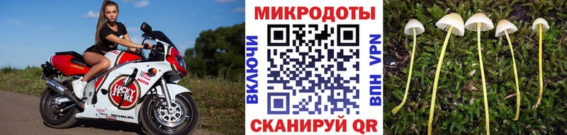 OMG как зайти  наркотики  Тверь  Галлюциногенные грибы Psilocybine cubensis 
